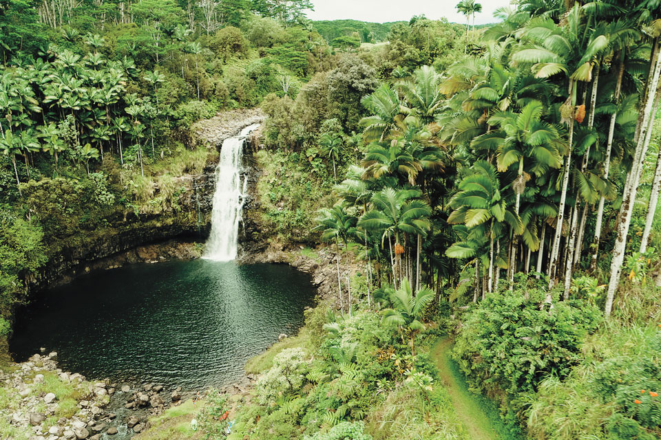 Kulaniapia Falls is a hidden waterfall along the Waiau Stream in the town of Hilo. Photo by Hawaii Tourism Authority (HTA) / Heather Goodman.