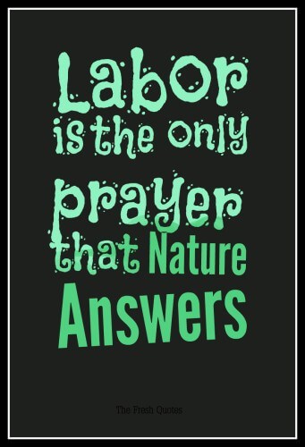 Labor-is-the-only-prayer-that-Nature-answers.-»-Robert-Green-Ingersoll-341x500