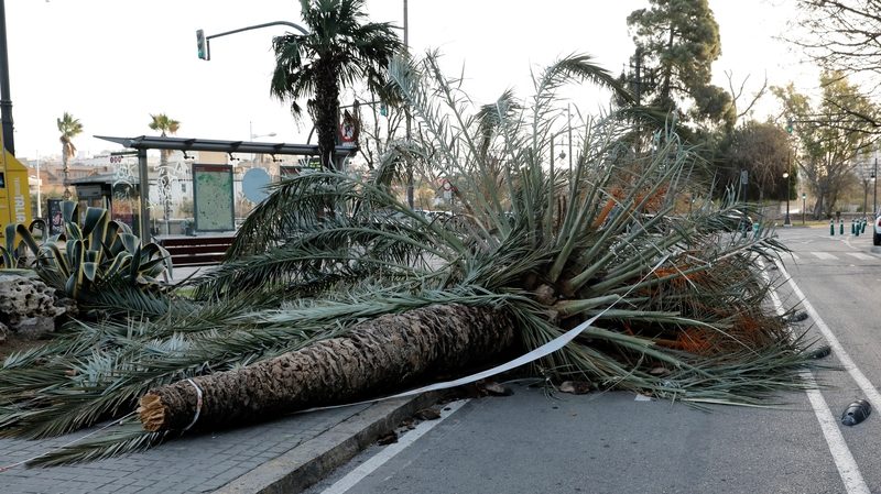 Nine dead as storms batter Spain, Portugal and France – RTE.ie