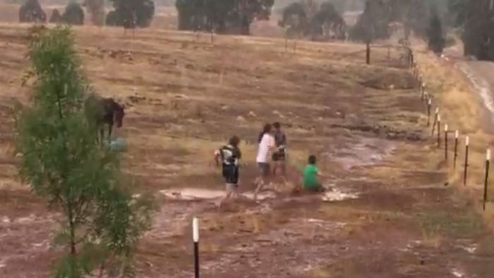 Children play in the rain in Dalton, NSW earlier in the week