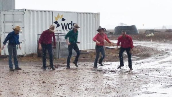 Rain offers drought and bushfire relief to the delight of many across New South Wales and Queensland – ABC News