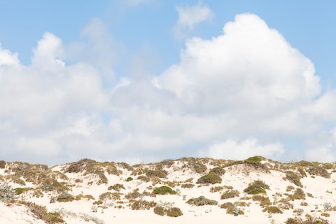 The beaches of Comporta lie just south of Lisbon