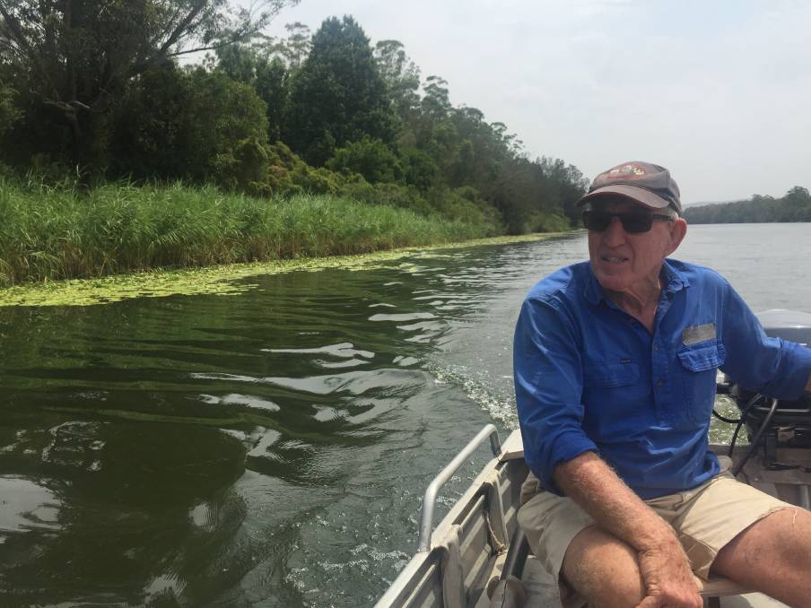 Digby Rayward, the chairman on the Williams River Care Association, inspects the banks from his tinny. Picture: Scott Bevan