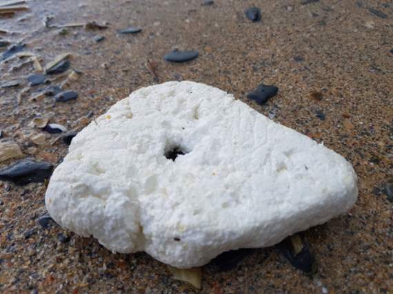 Calls for supermarket to ban the sale of polystyrene bodyboards – Cornish & Devon Post