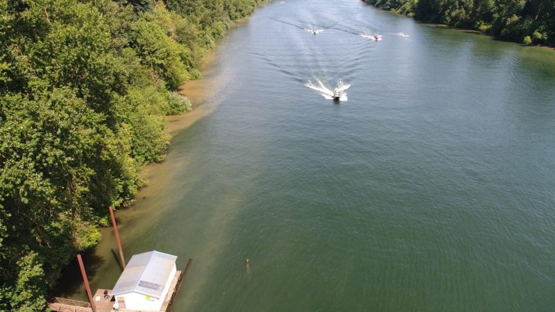 Feds Say Willamette River Wake Surfing Could Harm Salmon – OPB News