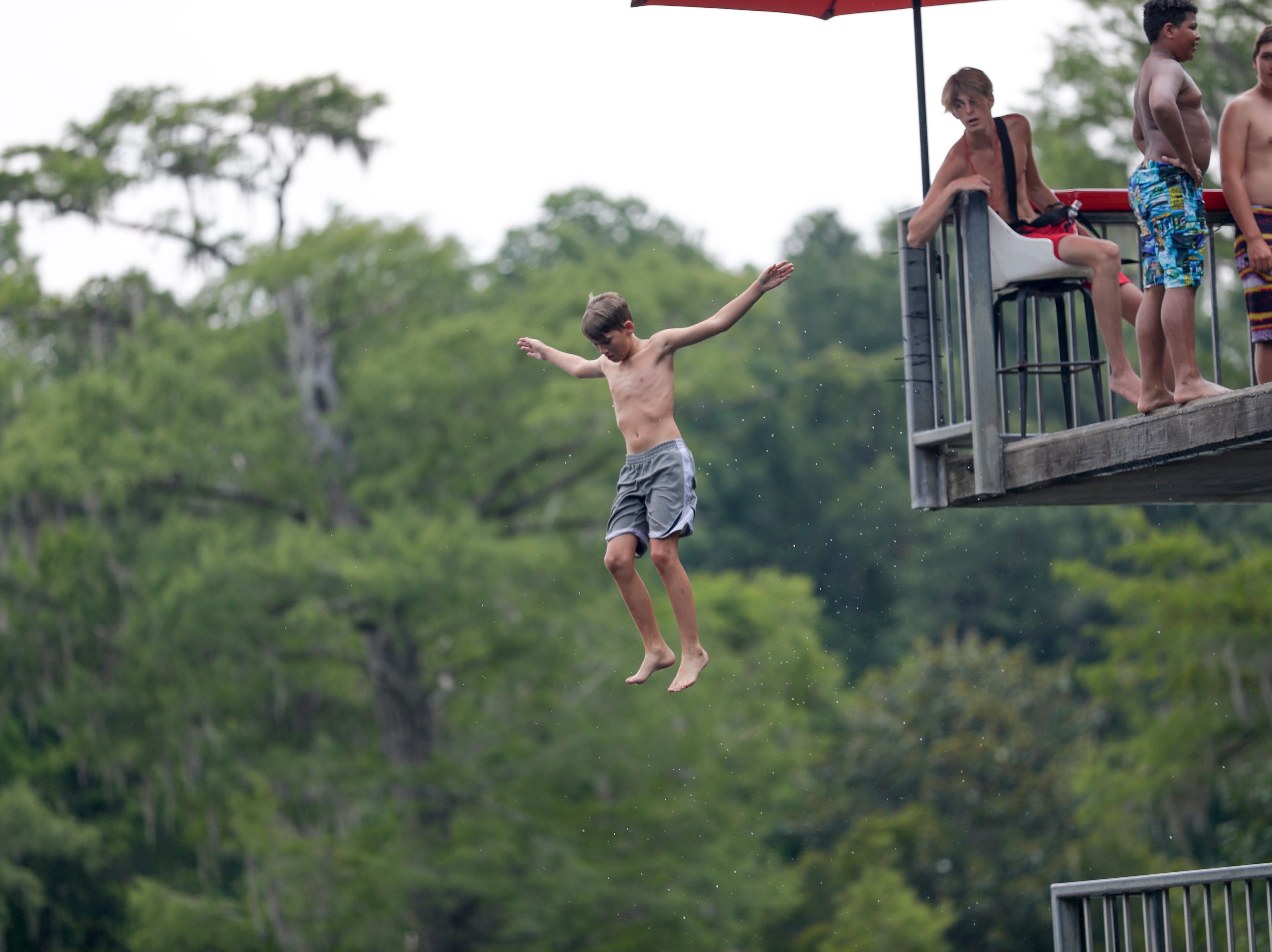 One of Wakulla Springs State Park's most popular draws is a 22-foot diving and observation tower. Those brave enough line up on both stories of the tower, waiting their turn to take a leap into the springs. 