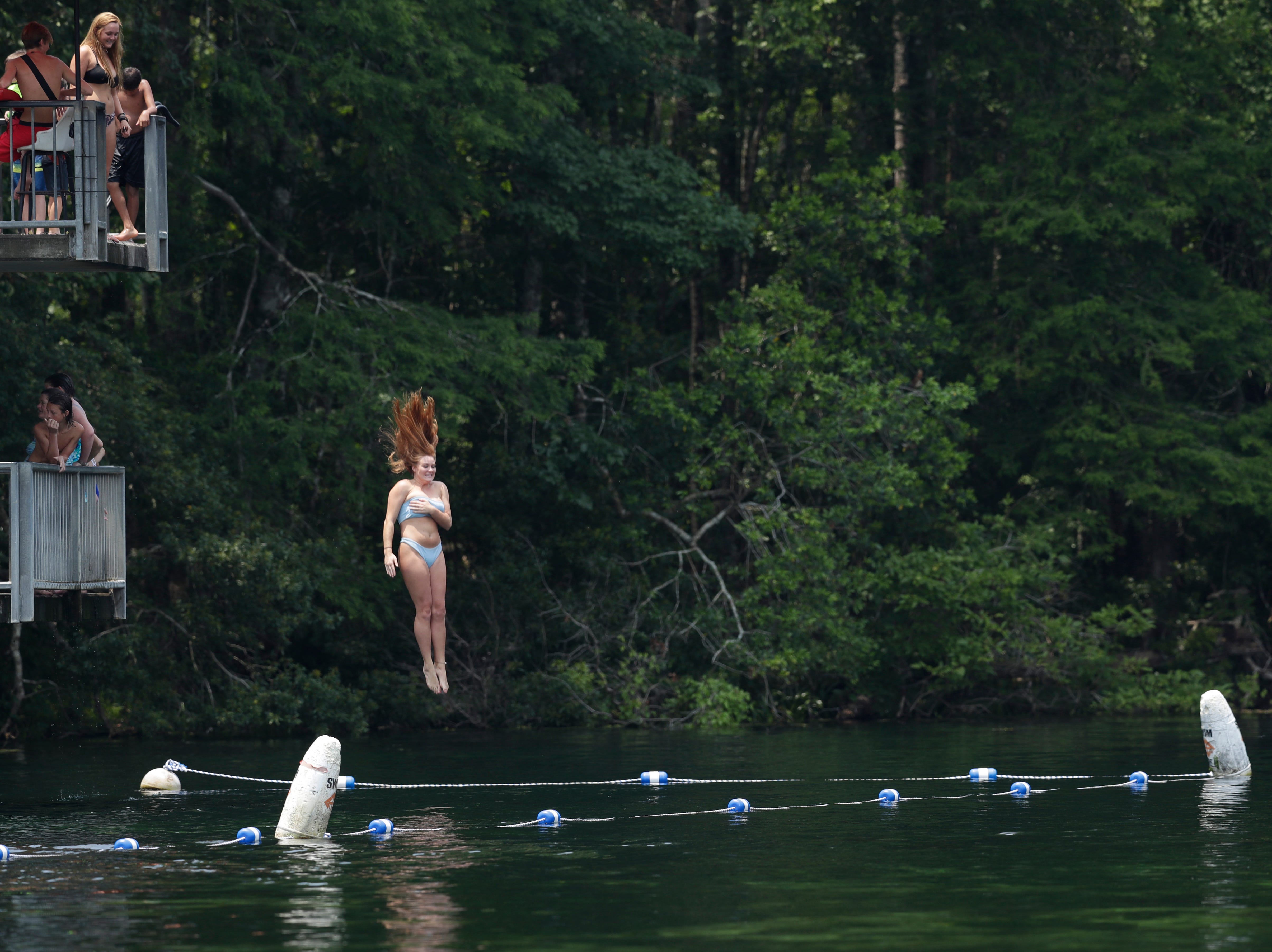 One of Wakulla Springs State Park's most popular draws is a 22-foot diving and observation tower. Those brave enough, line up on both stories of the tower, waiting their turn to take the leap into the springs. 