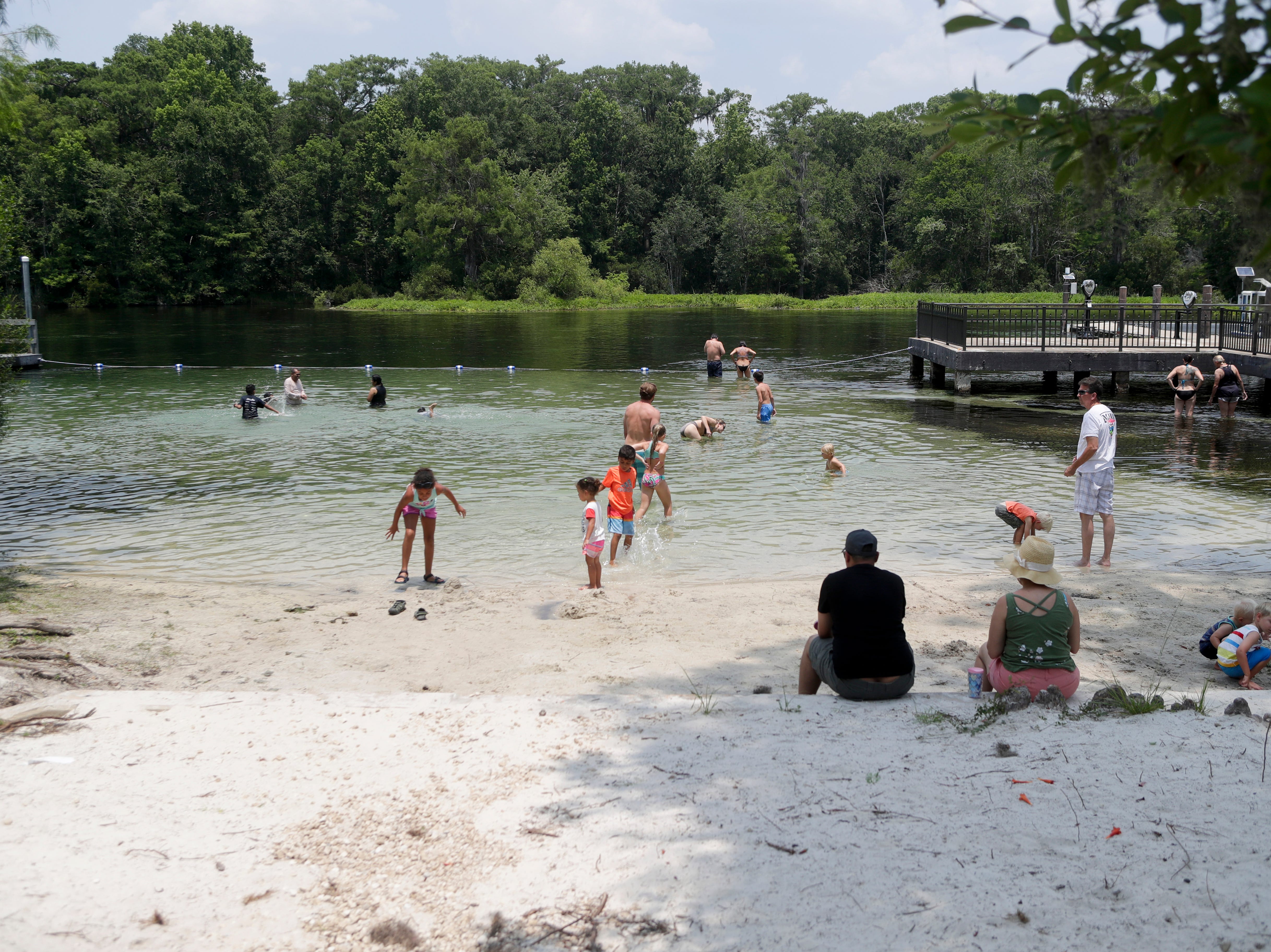 Wakulla Springs State Park provides a place for families to swim, float, sunbathe and dive year-round but is especially popular in the summer months.