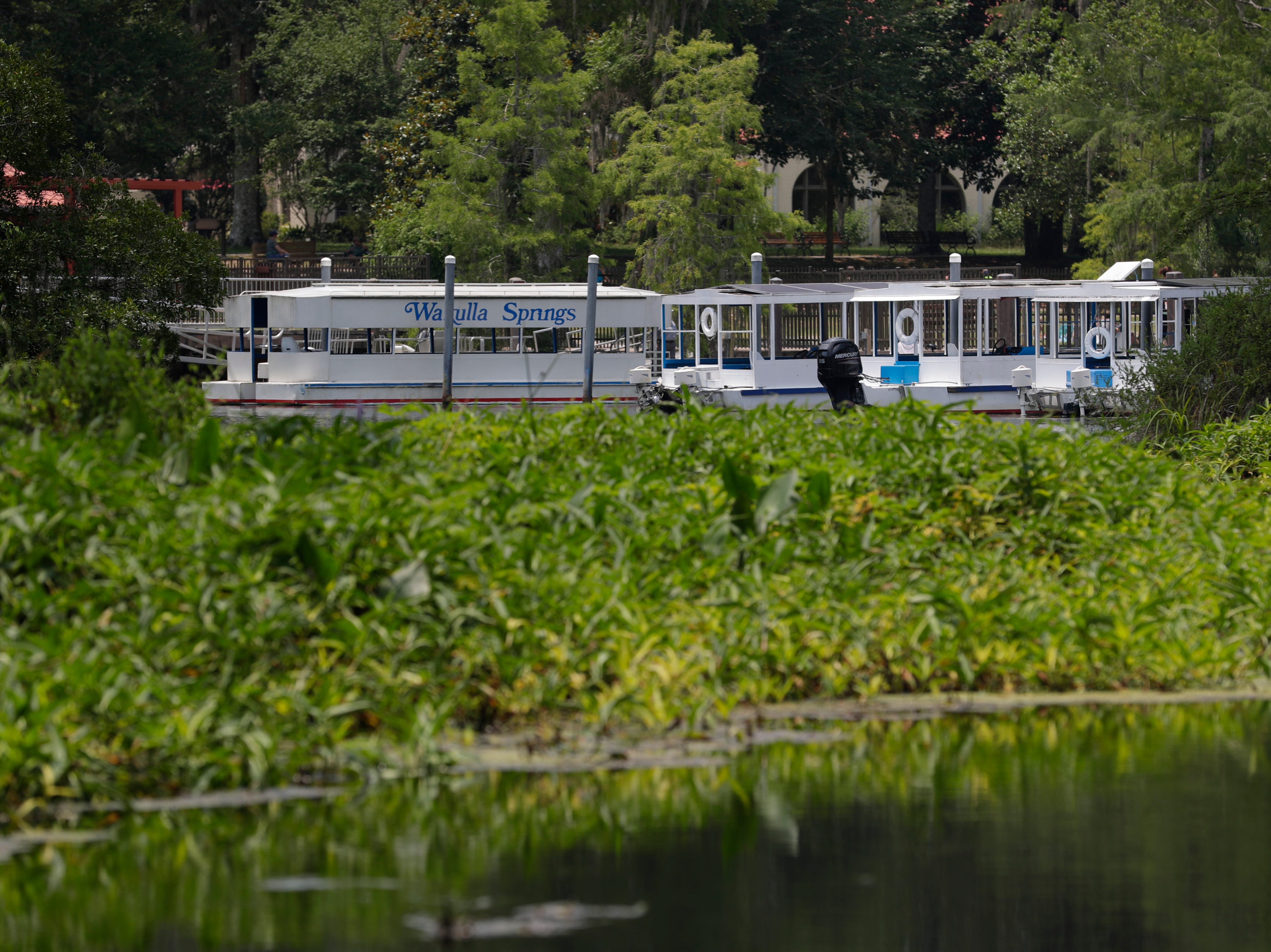 A careful preservation of Florida's natural state, Wakulla Springs State Park is a popular destination for locals and tourists alike. 