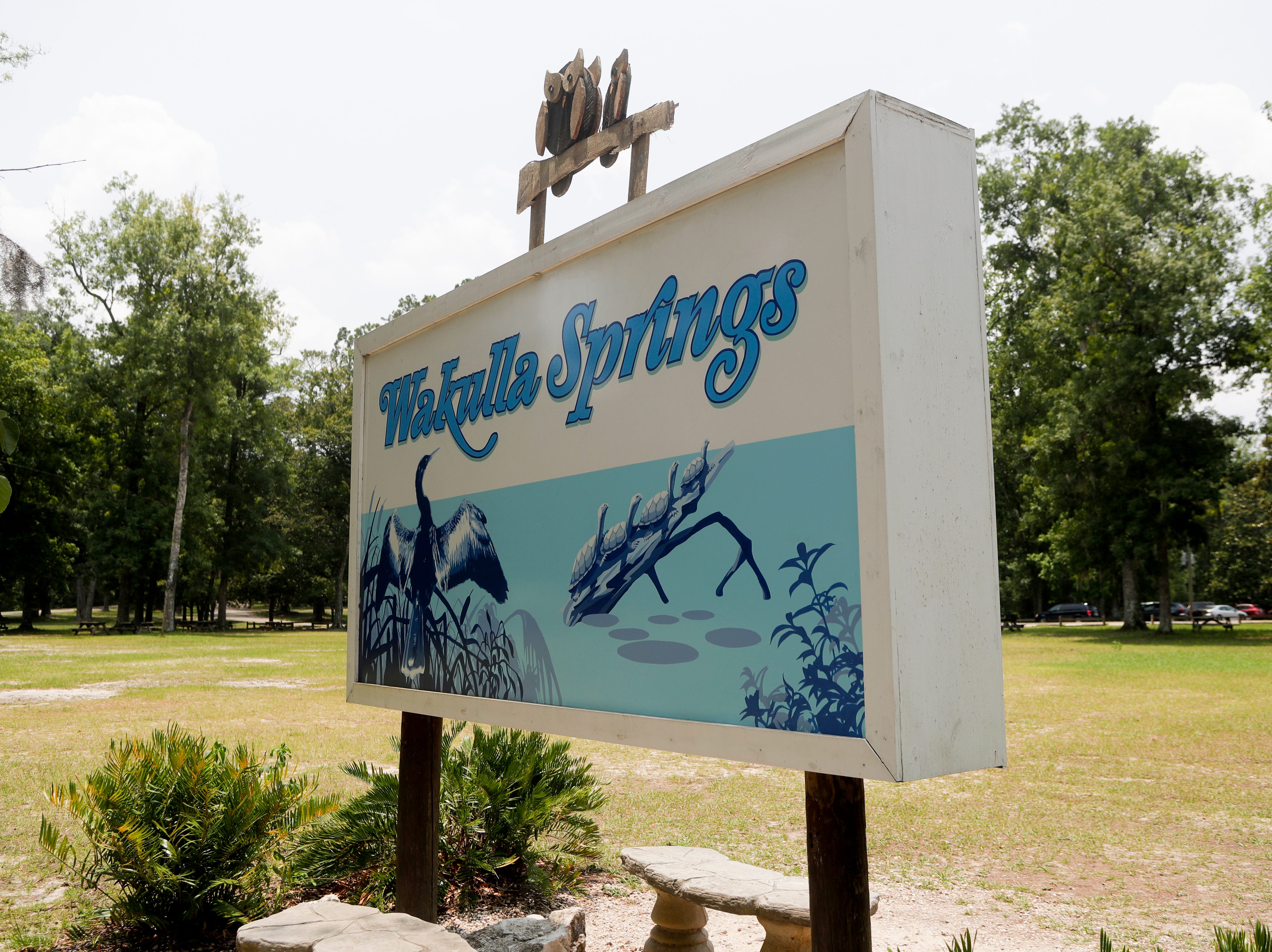 Wakulla Springs is the world's largest and deepest freshwater spring. It is surrounded by ancient cypress trees. A careful preservation of Florida's natural state, the state park is a popular destination for locals and tourists alike. 