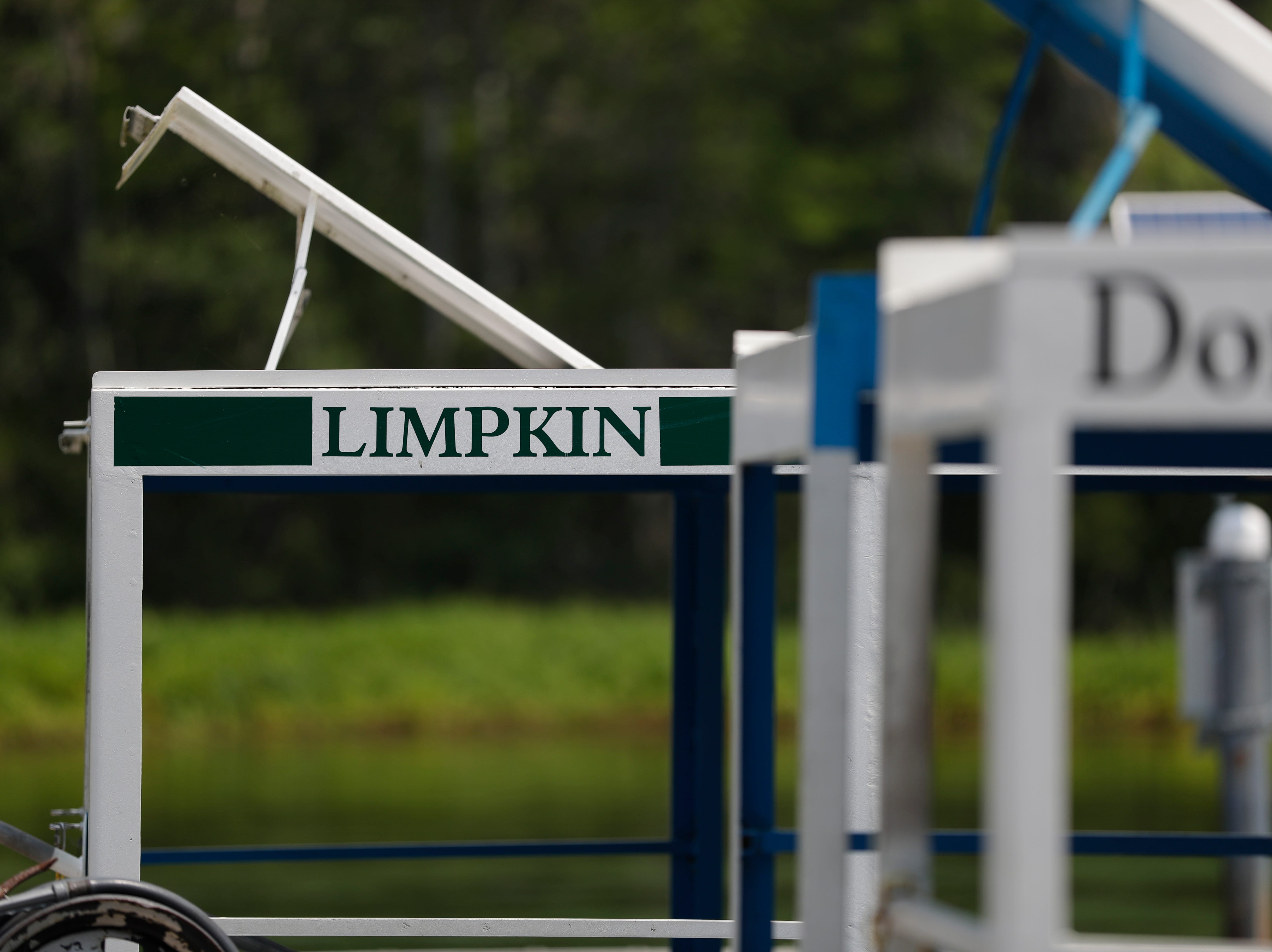 One of the Wakulla Springs tour boats is named "Limpkin," after the bird that served as the park's mascot for many years before it no longer inhabited the park. Now, at least one is back after the return of the apple snail, the limpkin's main source of food.