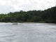 Members of the Chattahoochee Riverkeeper group view a sandbar that blocks water flow into Poloway Cutoff on the Apalachicola River near Blountstown.