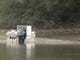 Biologists work along the banks of the Apalachicola River doing counts of Fat Threeridge mussels.