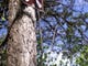 A paddling trail icon marks one of the canoe routes along the waterways in the Apalachicola River Wildlife and Environmental Area.