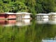 Houseboats on Brothers River, a tributary of the Apalachicola River.