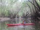 Apalachicola RiverTrek paddler Chris Reed explores Sutton Lake. The lake is connected to the threatened Apalachicola River.