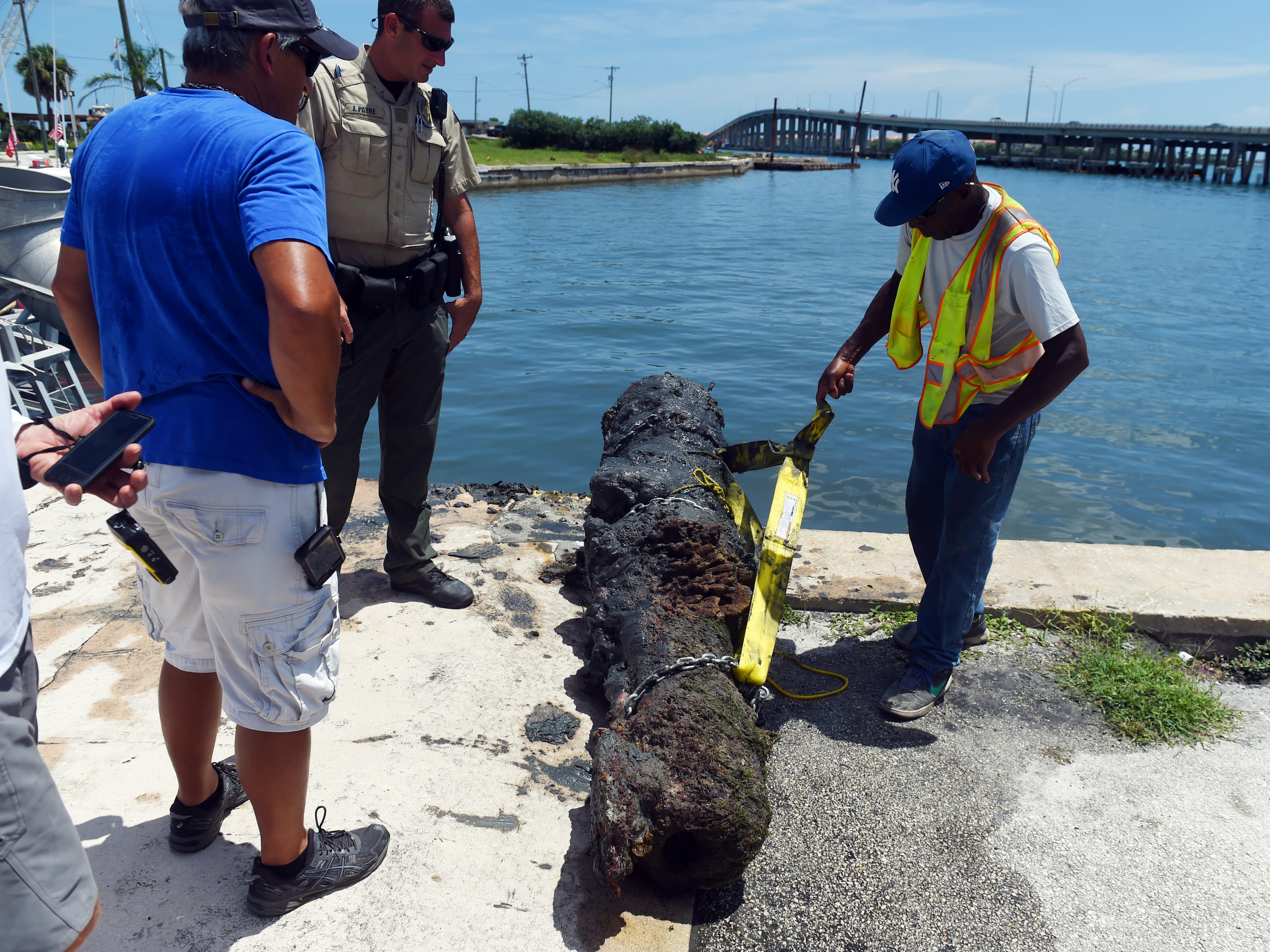 A 303-year-old cannon from the 1715 Spanish Plate Fleet was recovered off Sandy Point on Monday, Aug. 13, 2018 and removed from the water at Fisherman's Wharf in Fort Pierce. The cannon will be cleaned, treated and restored, a process that takes about three years, and placed on display at Melody Lane Fishing Pier in Fort Pierce.