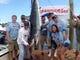 The crew of American Mustang with the 319.9-pound mako shark that won both Mako Fever and Mako Mania in 2014.