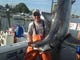 Capt. Jeff DeMuro, Fish Circus, with the 287-pound mako weighed in at the Brett Bailey Mako Rodeo.