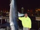 Gary Blakla, Philadelphia, with the 820-pound mako he caught aboard the Misstep out of Cape May and weighed in Saturday night.