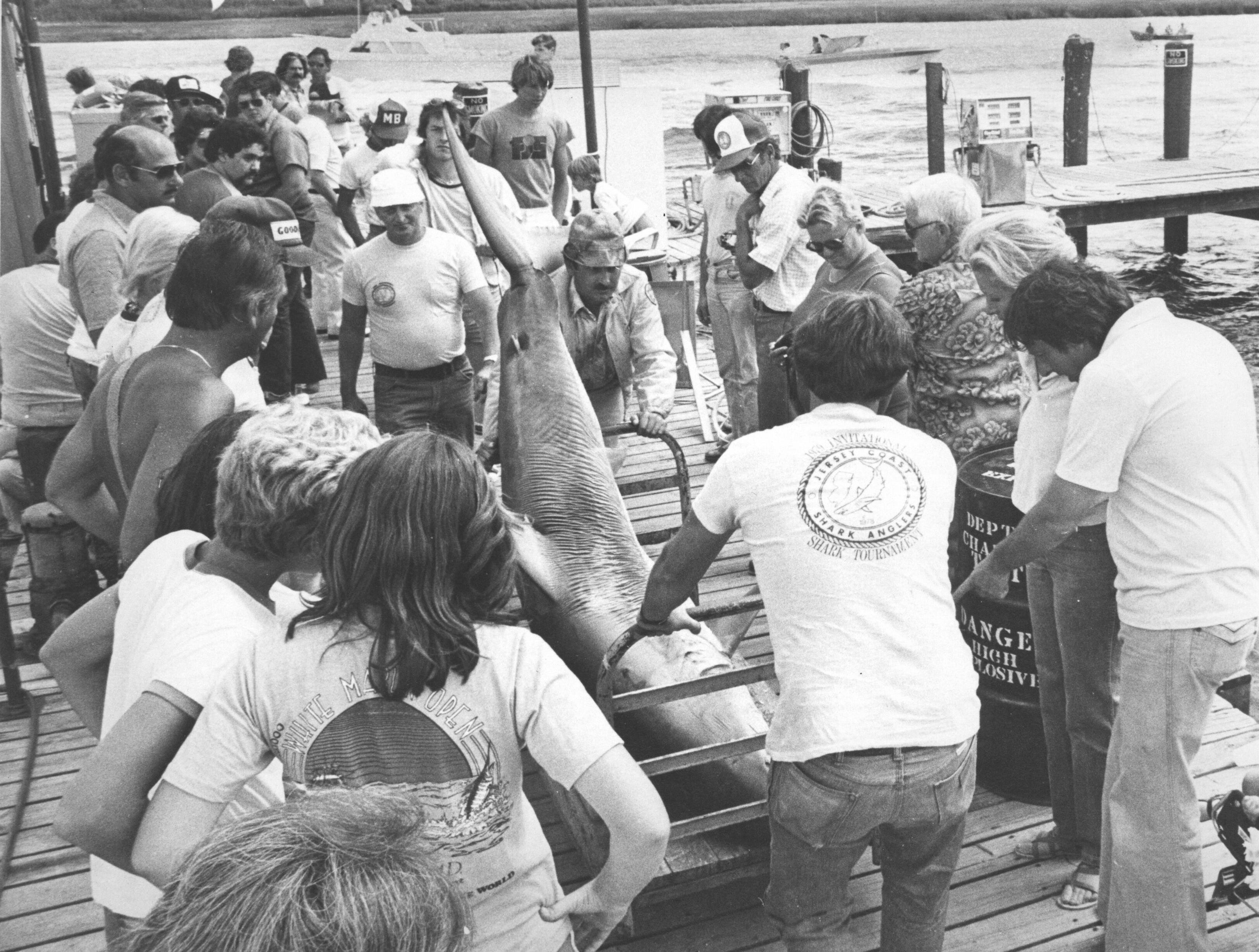 (JULY 9, 1979) A small crowd watches a mako shark being hauled away for weighing during a shark contest at Hoffman's Anchorage in Brielle.