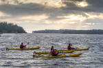 A group of kayakers in Stockholm's archipelago