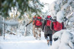 In winter, try traversing across the wilderness with a snowshoe hike