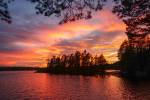 Tyresta National Park, Sweden