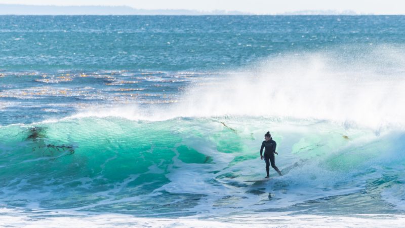 Textured Waves: A Conversation About Diversity in Surfing – Surfline.com Surf News