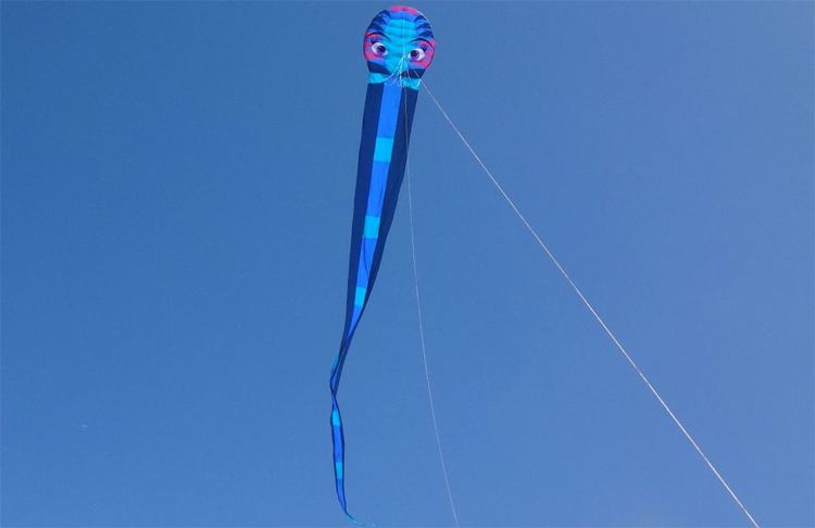 Serpent: adding more kite tail reduces volatile instability | Photo: Peter Lynn