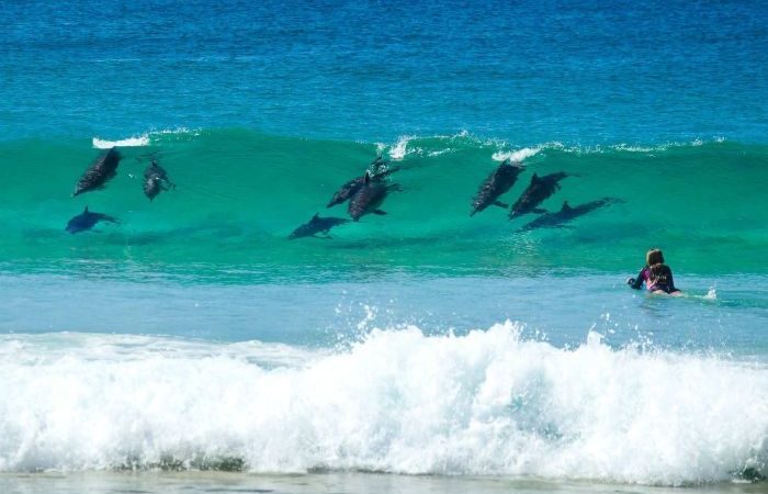 Young bodyboarding female up for challenge of stealing surfing limelight – ABC News