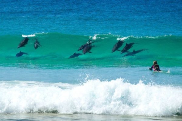 Young bodyboarding female up for challenge of stealing surfing limelight – ABC News