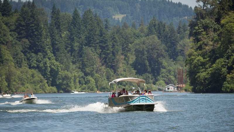 Do wake sports harm endangered species along the Willamette River? – Pamplin Media Group