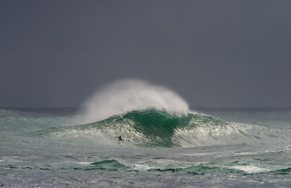 Olympic Surfing Still on Track, Despite Coronavirus Concerns – Surfline.com Surf News
