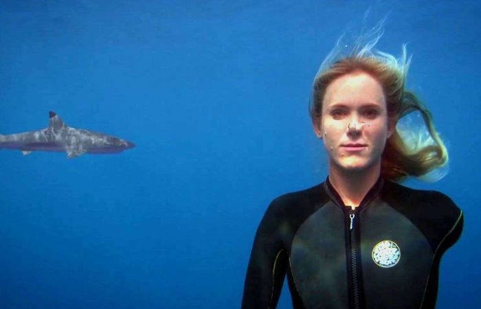 Shark attack survivor Bethany Hamilton to return to qualify for the World Surf League – ABC News