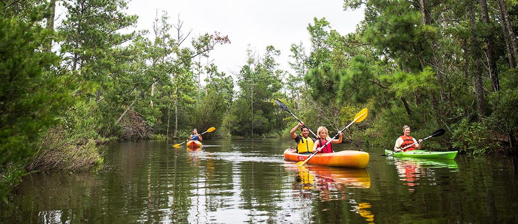 Alligator River Kayak Tour