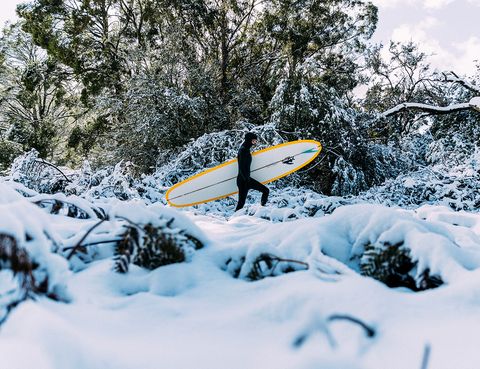 she surf book