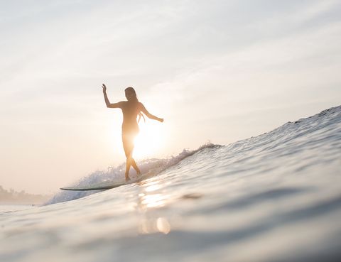 she surf book