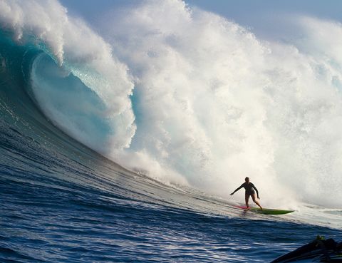 she surf book