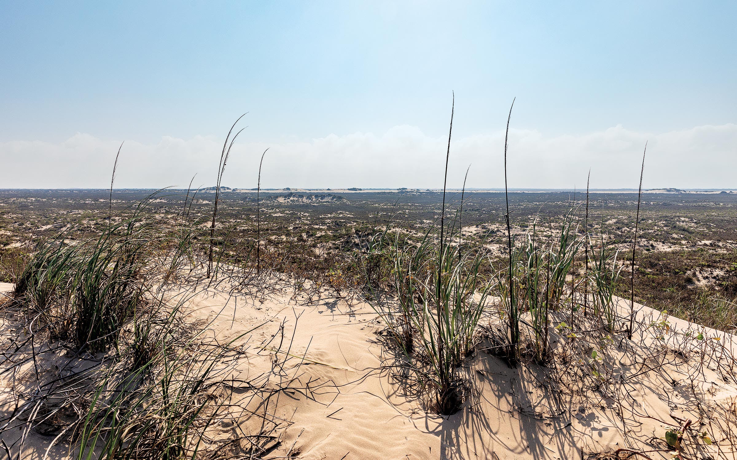 David Courtney, The Texanist, traverses Padre Island National Seashore