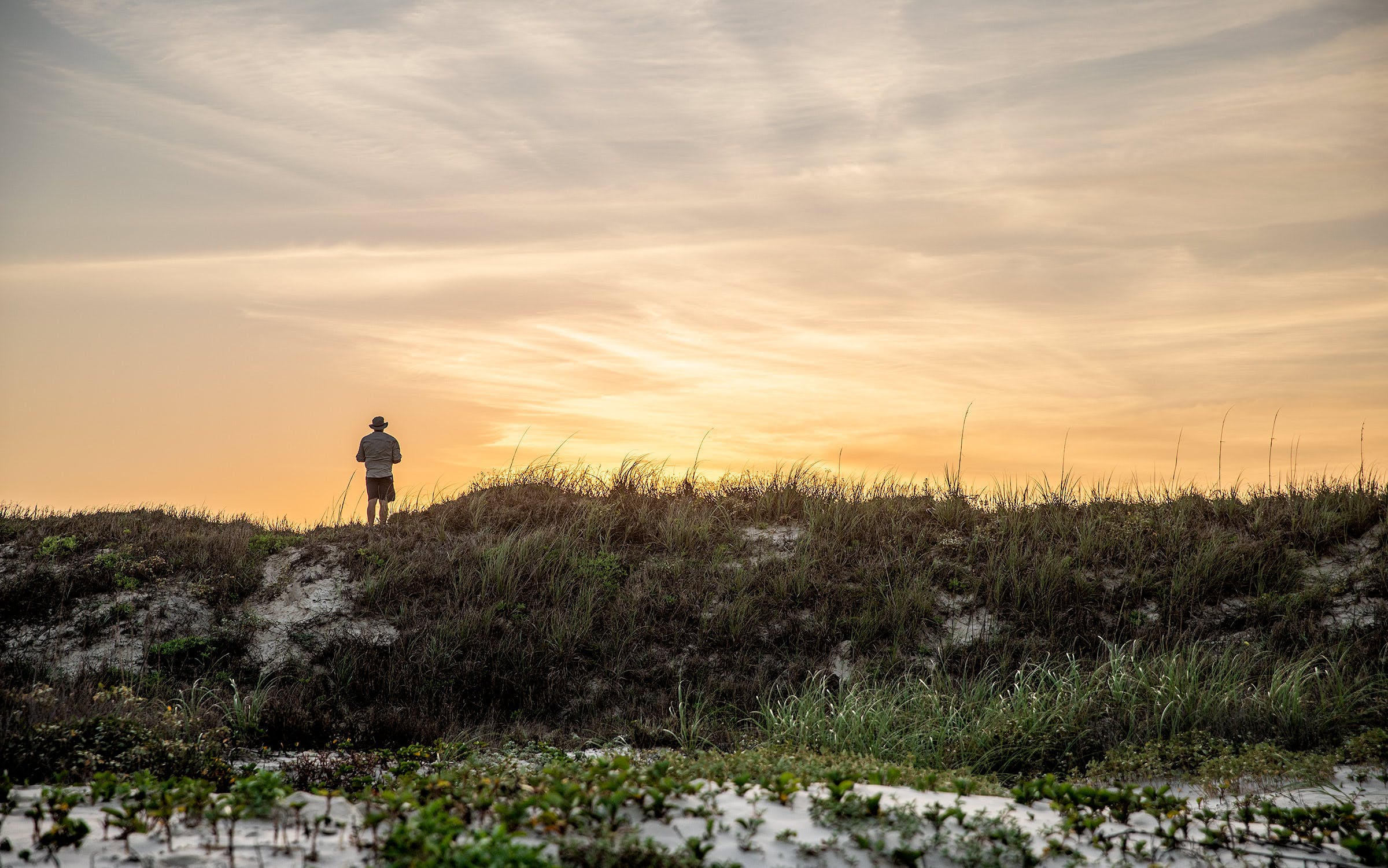 David Courtney stands on dunes at Padre Island National Seashore.