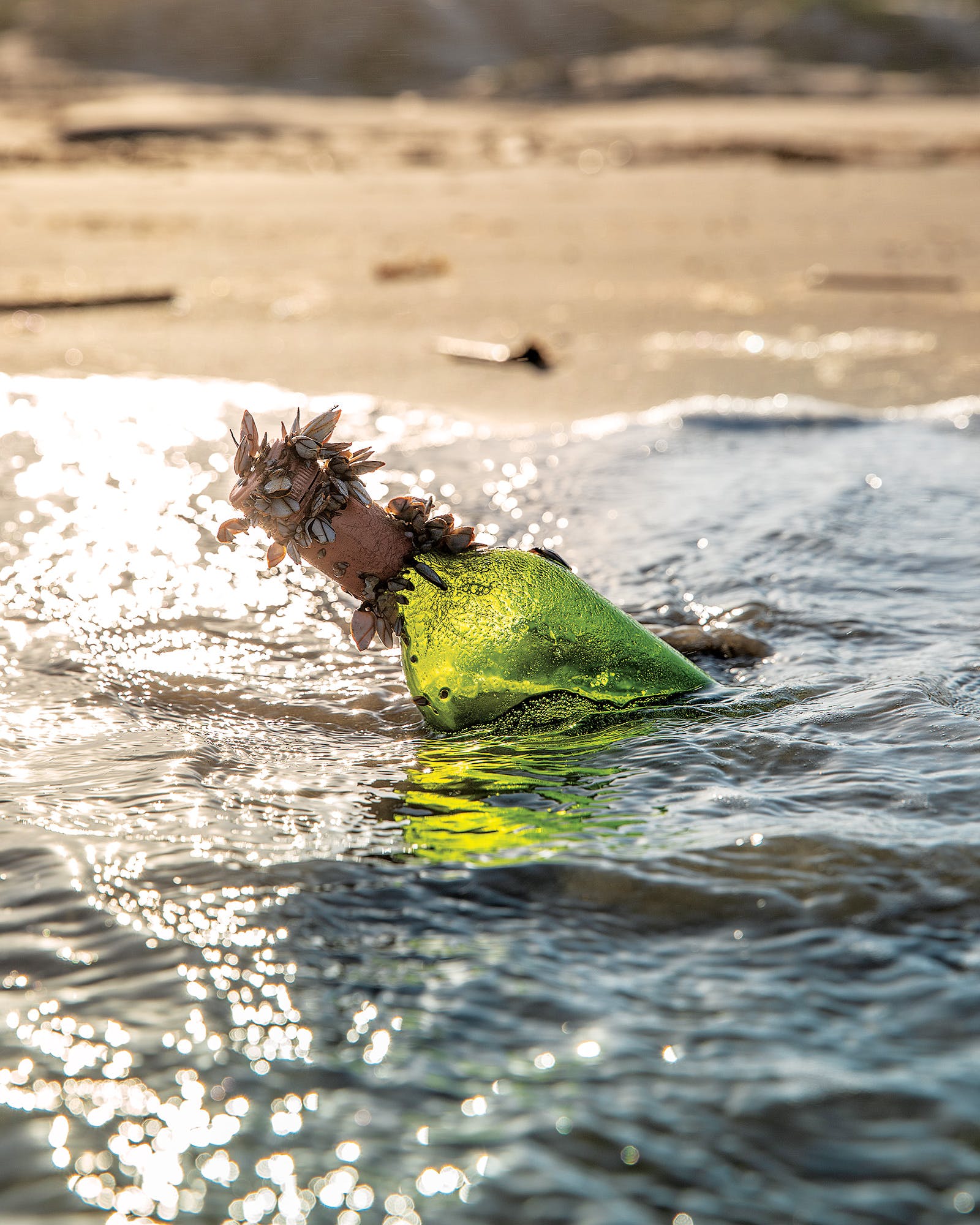 A bottle bobs in the Gulf near mile marker 14.