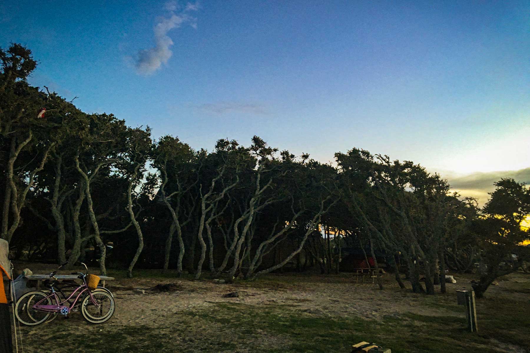 Everything You Need to Know About Camping in North Carolina’s Outer Banks – Travel + Leisure