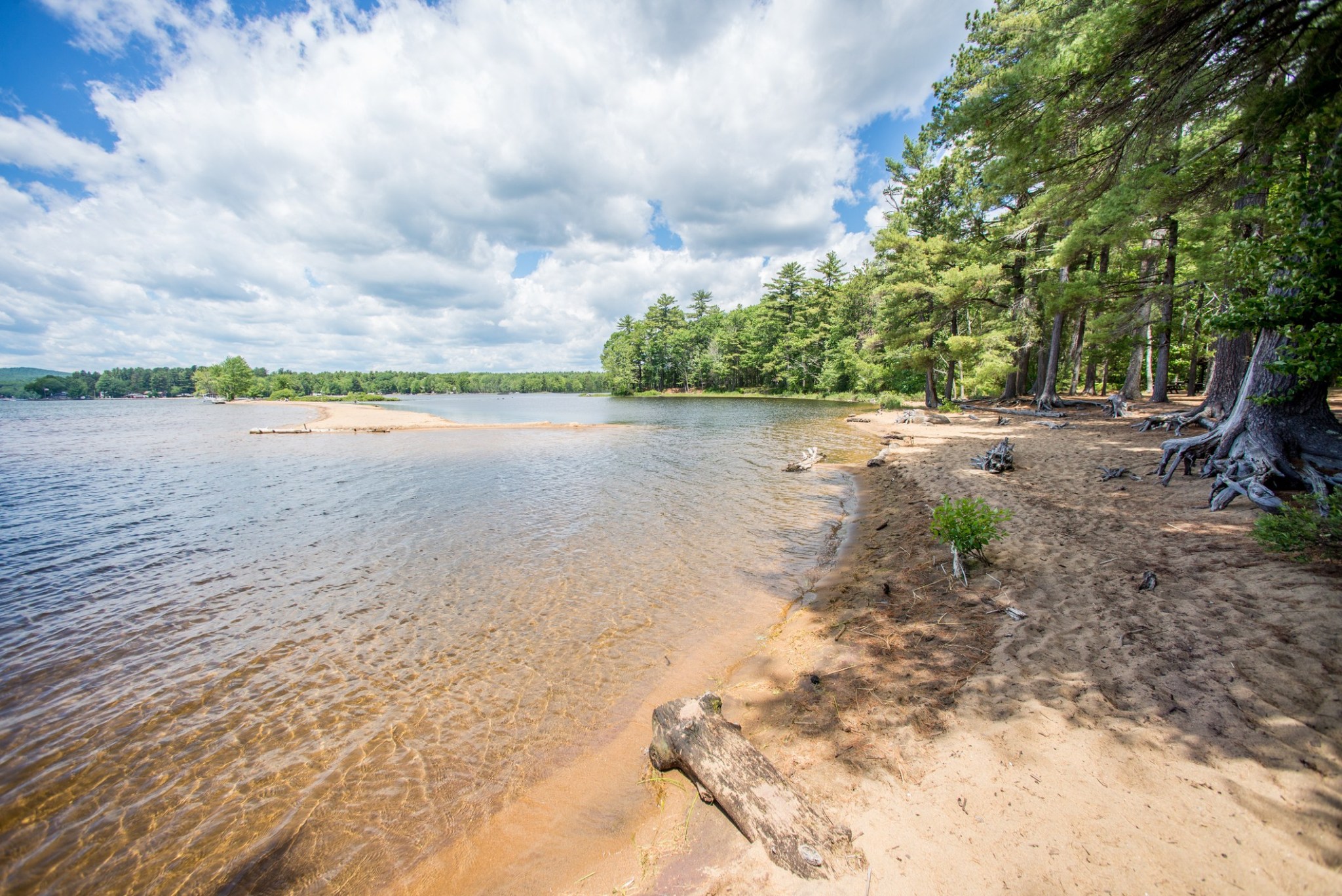 Forests and shoreline adorn the coasts of Sebago Lake State Park in Sebago, Maine.