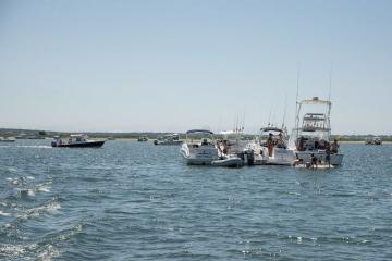 Recreational Boaters Swamp Cape Pogue, Prompting Town Concerns – The Vineyard Gazette – Martha’s Vineyard News