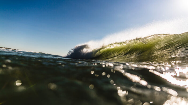 Skills and Experience Gained Through Surfing Are Useless to the Rest of the World … Except in This Case. – The SandPaper