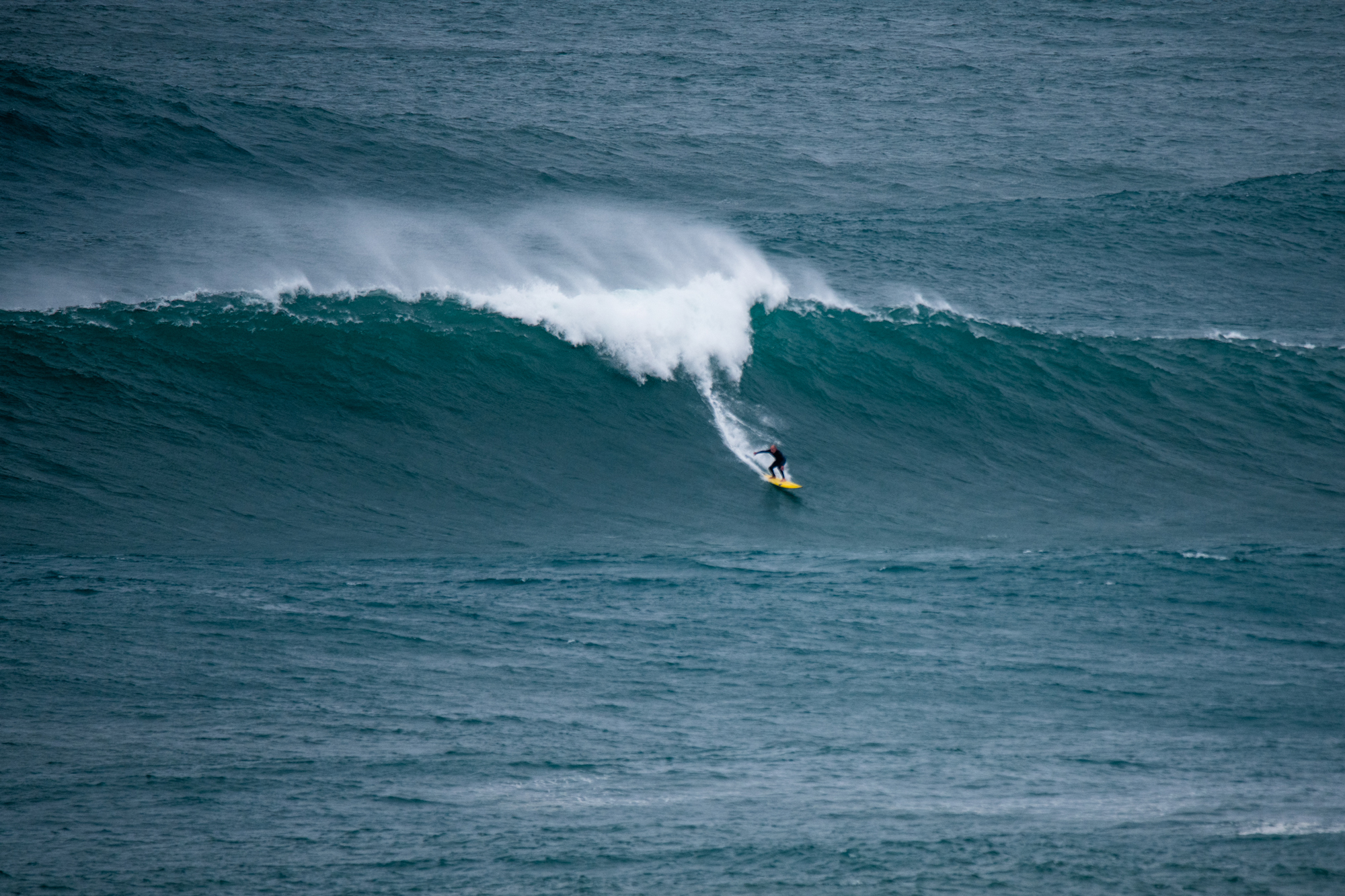 The Old Man And The Sea? – Surfline.com Surf News