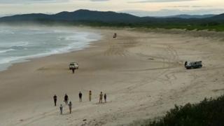 Australia surfer saves wife by punching shark – BBC News