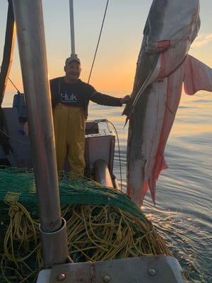 Barnegat Light fisherman: ‘Oh my God, there’s a great white shark in the net’ – Asbury Park Press