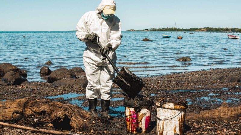 Focus turns to damages owed by Japan ship owner for Mauritius spill – The Japan Times